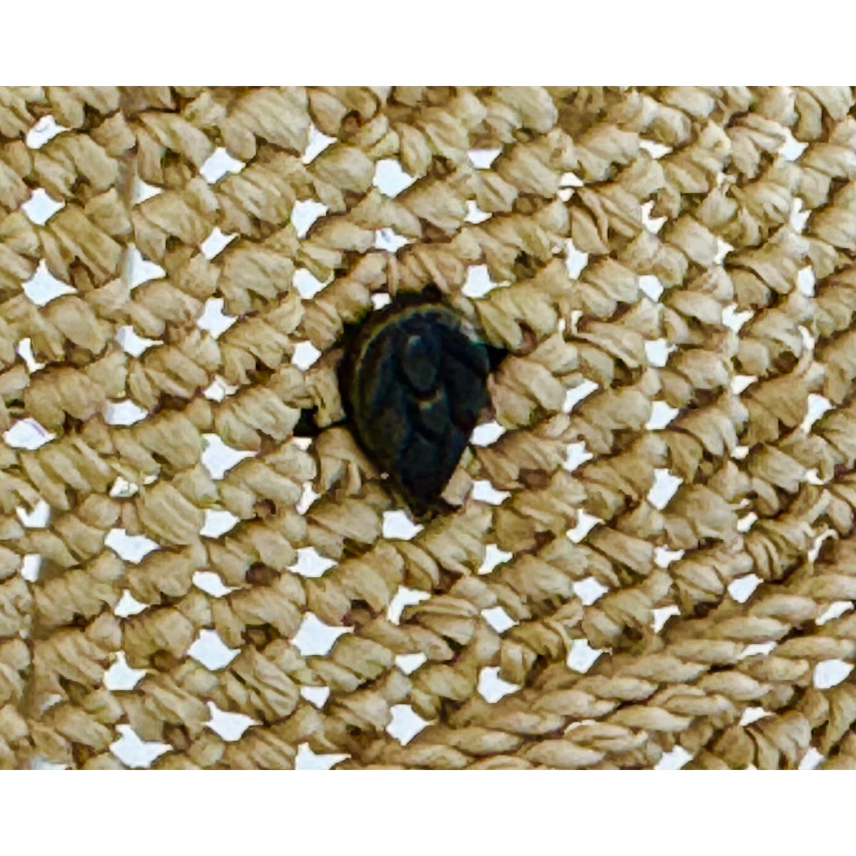 Helen Kaminski Provence 10 Packable Raffia Crochet Sun Hat Natural Adjustable OS